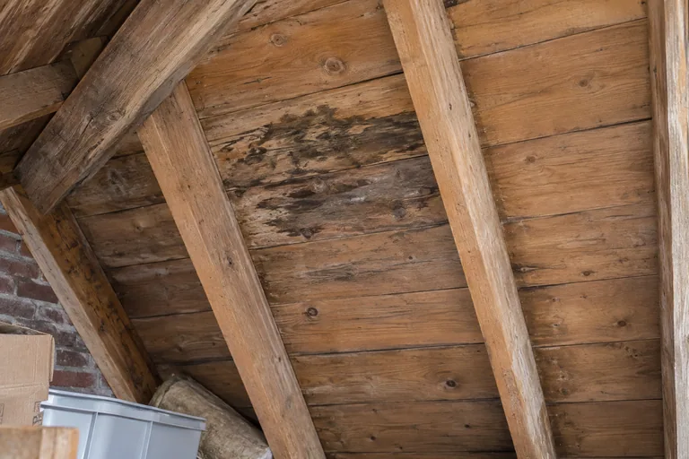 Oud houten dakbeschot met donkere vlekken tussen de sporen.