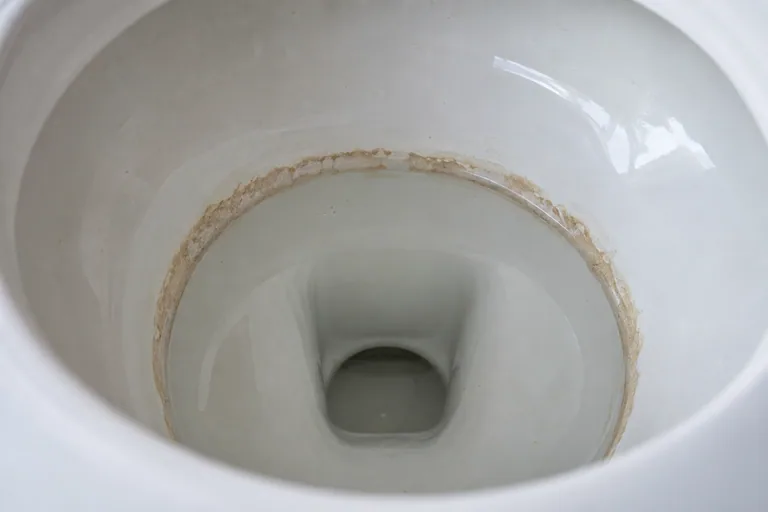 Bruine aanslag langs de waterlijn in een witte toiletpot.